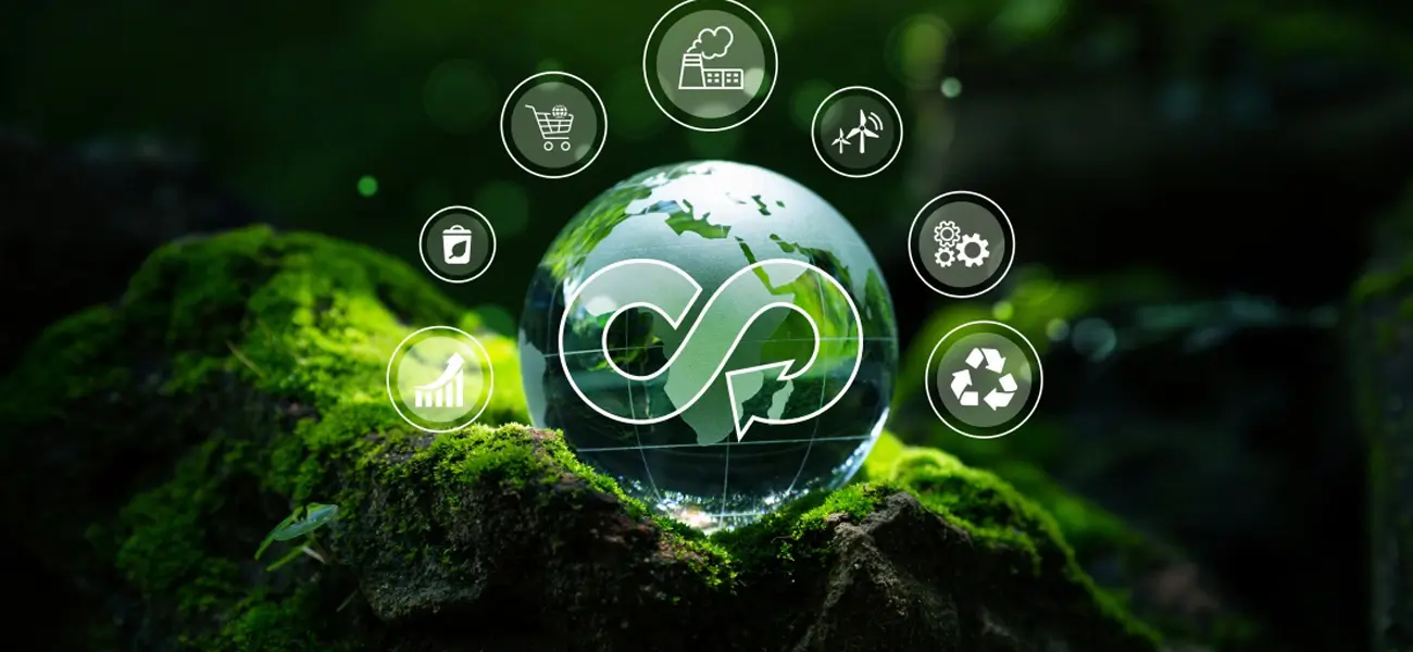 Understanding the Circular Economy