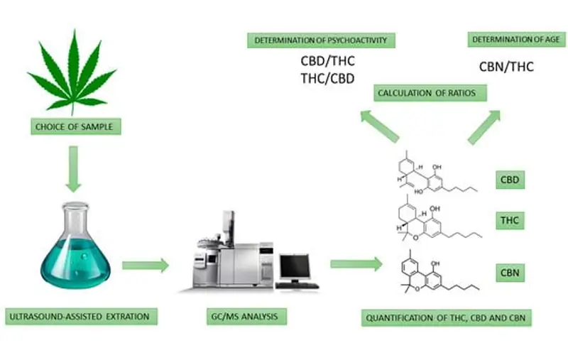 Recoverable Solvents in Cannabis Processing Various solvents used in cannabis extraction