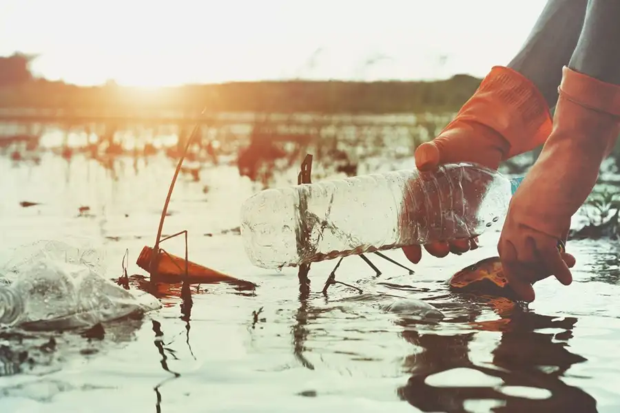 Environmental Damage from Solvent Disposal